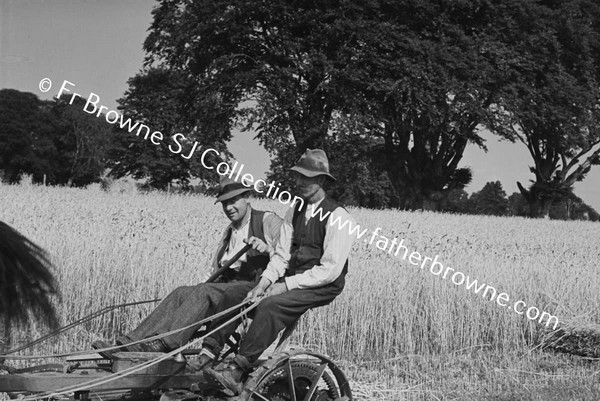 HARVESTING WHEAT